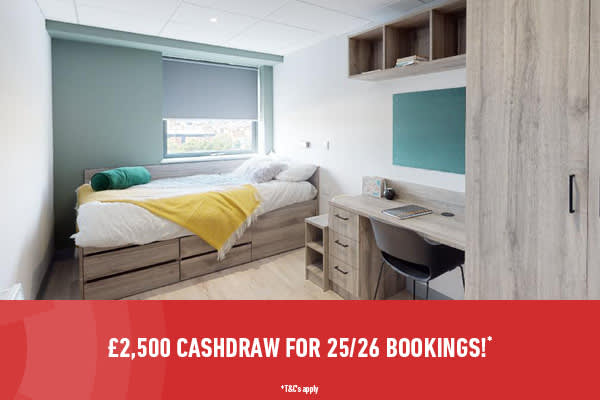 Crown Place Swansea property